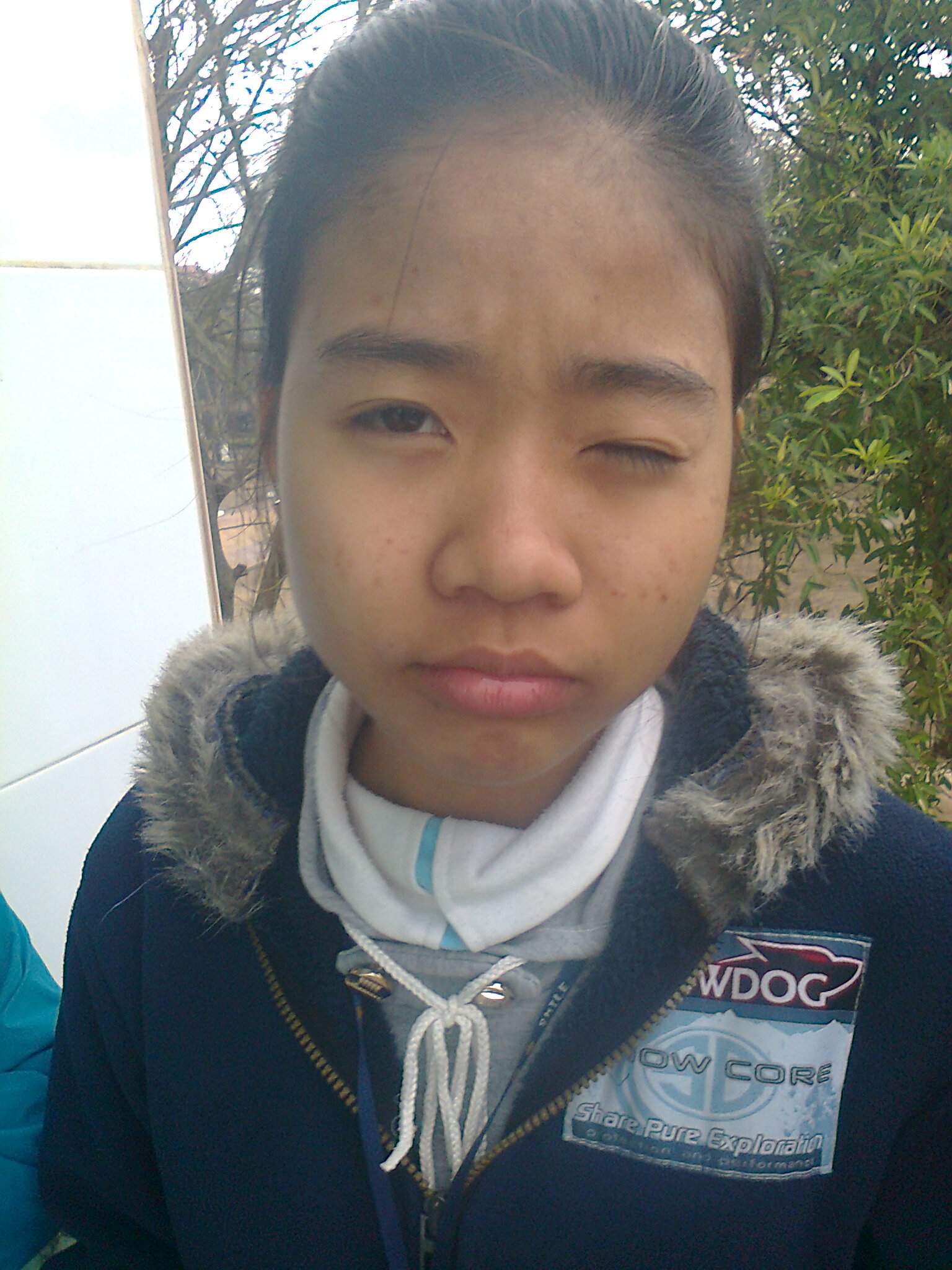 Nhu dien